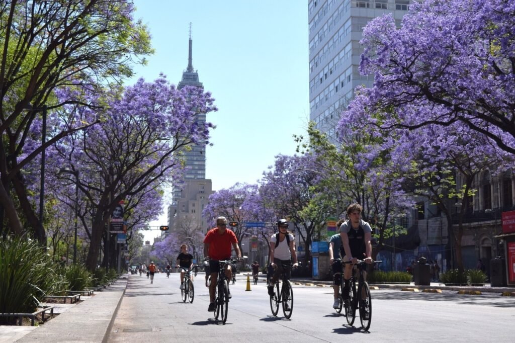 pasión por el ciclismo POSTA Cdmx